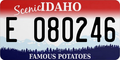 ID license plate E080246