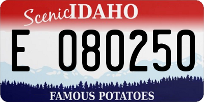 ID license plate E080250