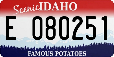 ID license plate E080251