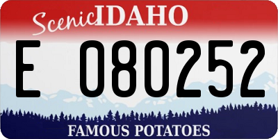 ID license plate E080252