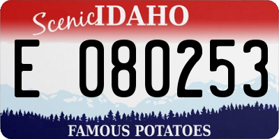 ID license plate E080253