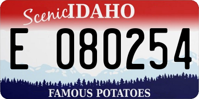 ID license plate E080254