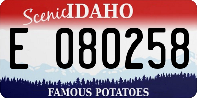 ID license plate E080258