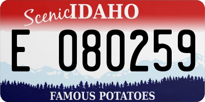 ID license plate E080259