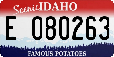 ID license plate E080263