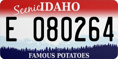 ID license plate E080264