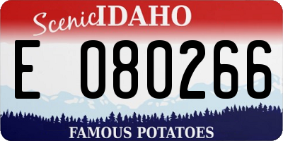 ID license plate E080266