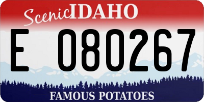 ID license plate E080267