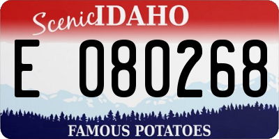 ID license plate E080268
