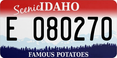 ID license plate E080270