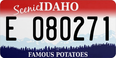 ID license plate E080271