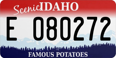 ID license plate E080272