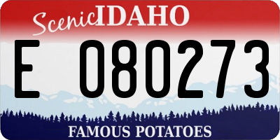 ID license plate E080273