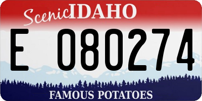 ID license plate E080274