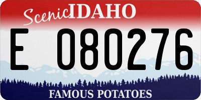 ID license plate E080276