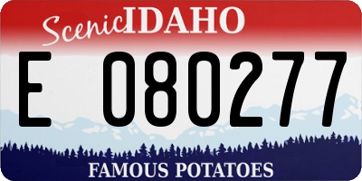 ID license plate E080277
