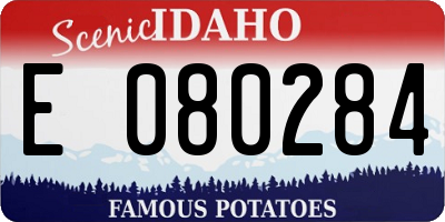 ID license plate E080284