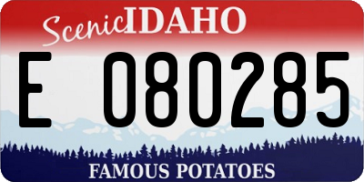 ID license plate E080285