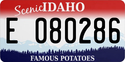 ID license plate E080286