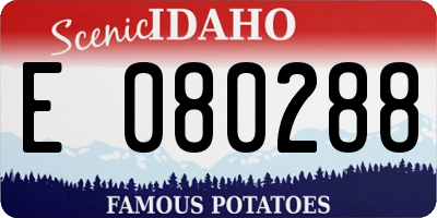 ID license plate E080288
