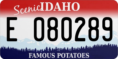 ID license plate E080289