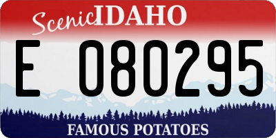 ID license plate E080295