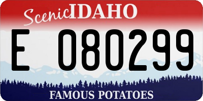 ID license plate E080299