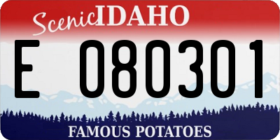 ID license plate E080301