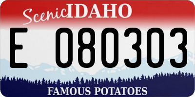 ID license plate E080303