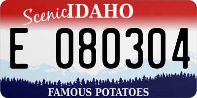 ID license plate E080304