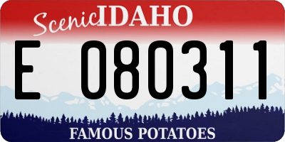 ID license plate E080311