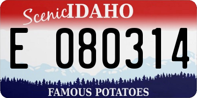 ID license plate E080314