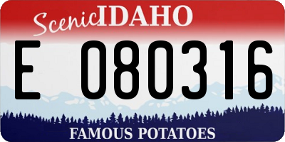 ID license plate E080316