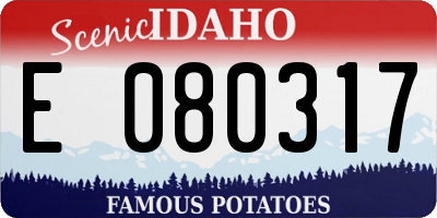 ID license plate E080317
