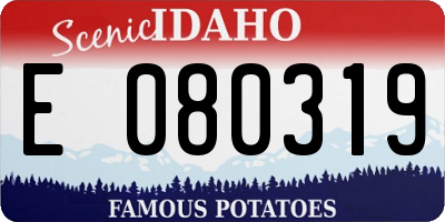 ID license plate E080319