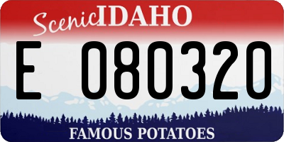 ID license plate E080320