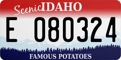 ID license plate E080324