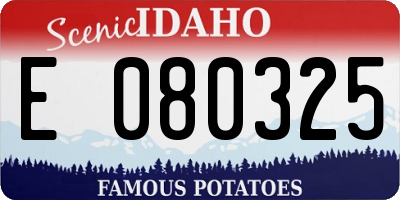 ID license plate E080325