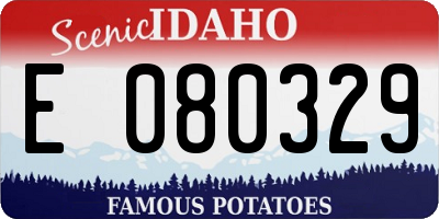 ID license plate E080329