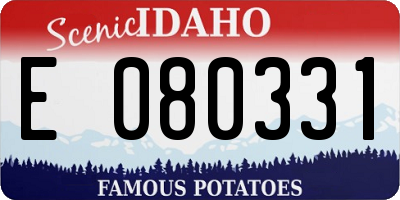 ID license plate E080331