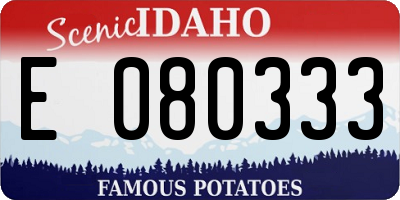ID license plate E080333