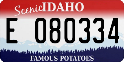 ID license plate E080334