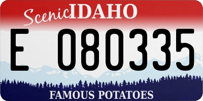 ID license plate E080335