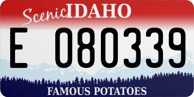 ID license plate E080339