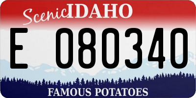 ID license plate E080340