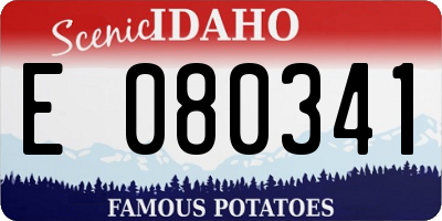 ID license plate E080341