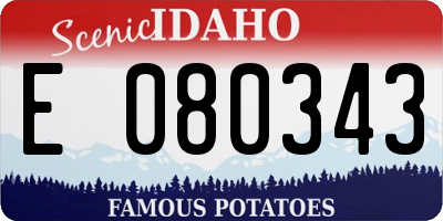ID license plate E080343