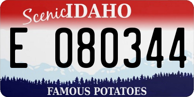 ID license plate E080344