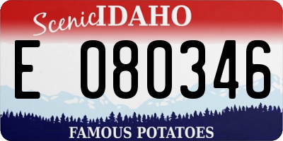ID license plate E080346