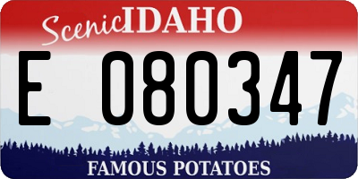 ID license plate E080347